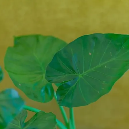 Fabrica 12 * Cluj-Napoca