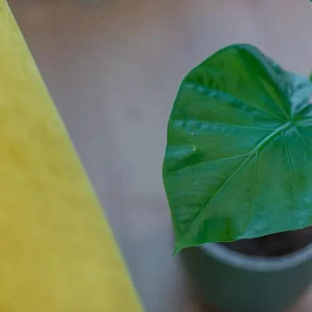 Fabrica 12 Apartment