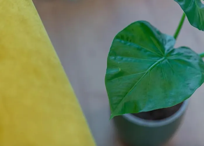 Fabrica 12 Lejlighed